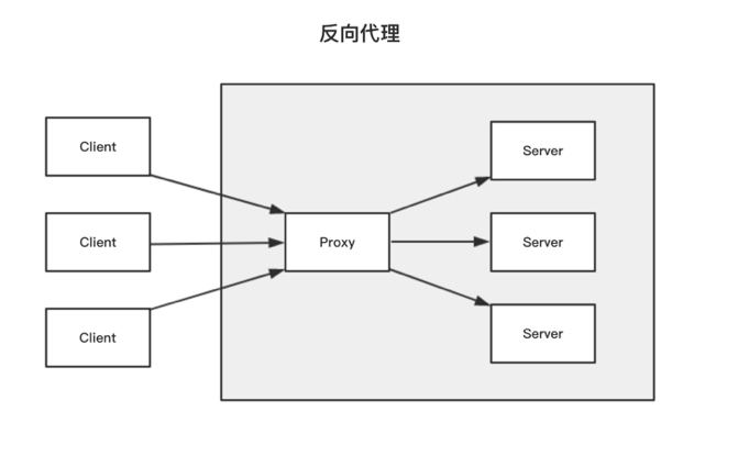 反向代理示意图