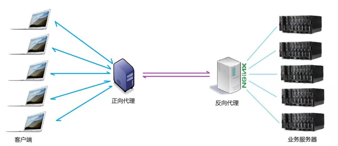 项目场景拓扑图